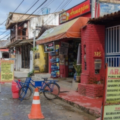 DSC5886