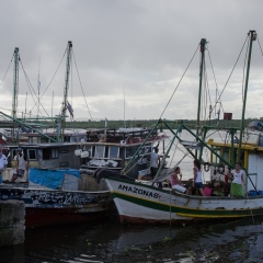 DSC5908