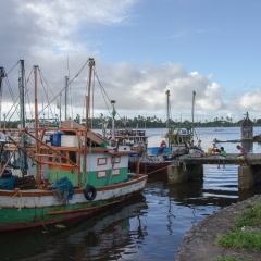 DSC5911