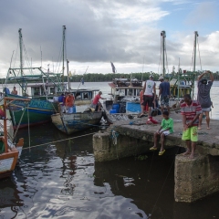 DSC5915