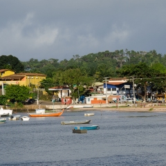 DSC5927