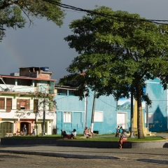 DSC5929