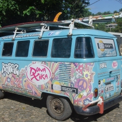 DSC6061