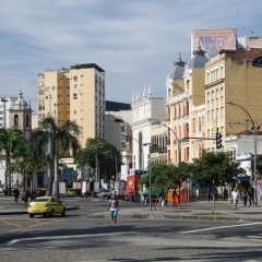 DSC6235