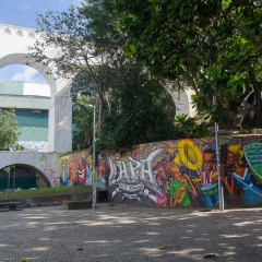 DSC6240