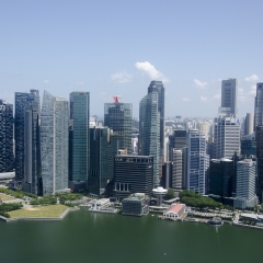 DSC6558