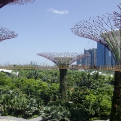 DSC6575