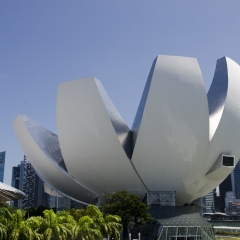 DSC6590