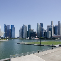 DSC6595