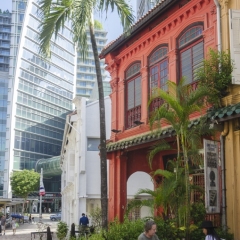 DSC6607