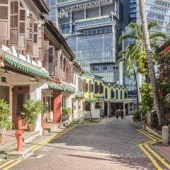 DSC6608