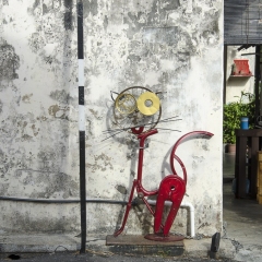 DSC6701