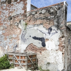 DSC6745