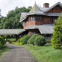 DSC6798
