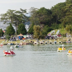 DSC_8319