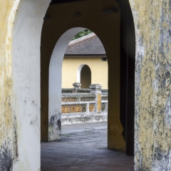 DSC_8467
