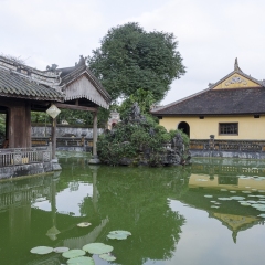 DSC_8468