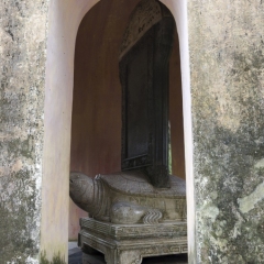 DSC_8496