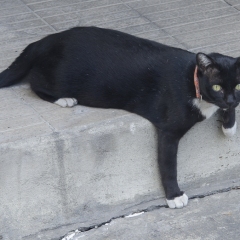 DSC_8712