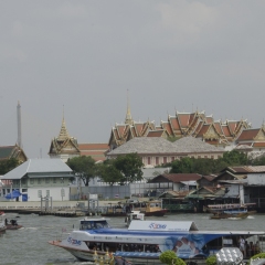 DSC_8735