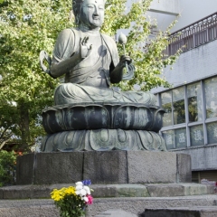 DSC0011