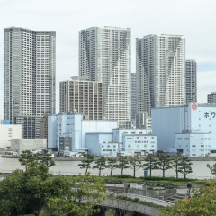 DSC0217