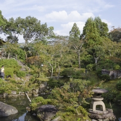 DSC0431