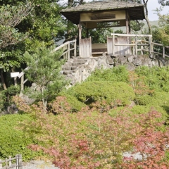DSC0432