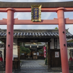 DSC0466