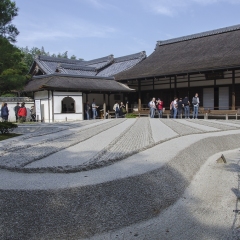 DSC0471