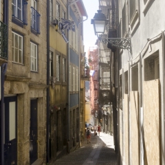 DSC1202