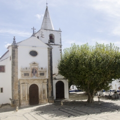 DSC1365