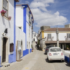 DSC1366