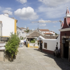 DSC1369