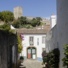 DSC1373