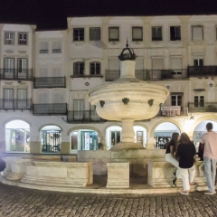 DSC1444