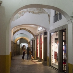 DSC1446