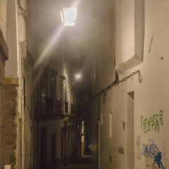 DSC1448