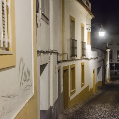 DSC1450