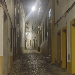 DSC1451