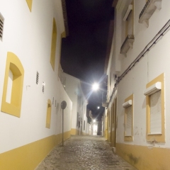 DSC1452
