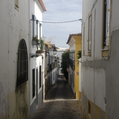 DSC1485