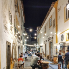 port-3153-OLtel-Evora_
