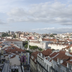 DSC1685