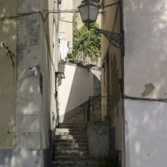 DSC1708