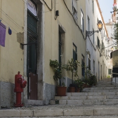 DSC1712