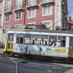 DSC1719