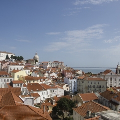 DSC1720