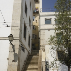 DSC1726