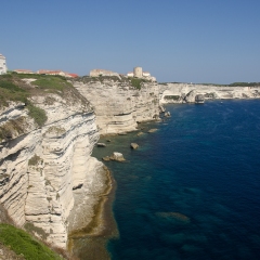 DSC1844